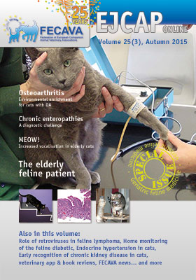 EJCAP 25(3), Autumn 2015