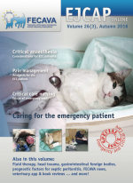 EJCAP 26(3), Autumn 2016