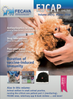 EJCAP 26(4) Winter 2016