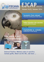 EJCAP 24(2), Summer 2014