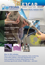 EJCAP 25(3), Autumn 2015