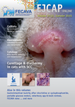EJCAP 25(2), Summer 2015