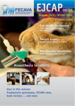 EJCAP 24(4), Winter 2014