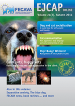 EJCAP 24(3), Autumn 2014