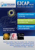 EJCAP 23(3), Autumn 2013